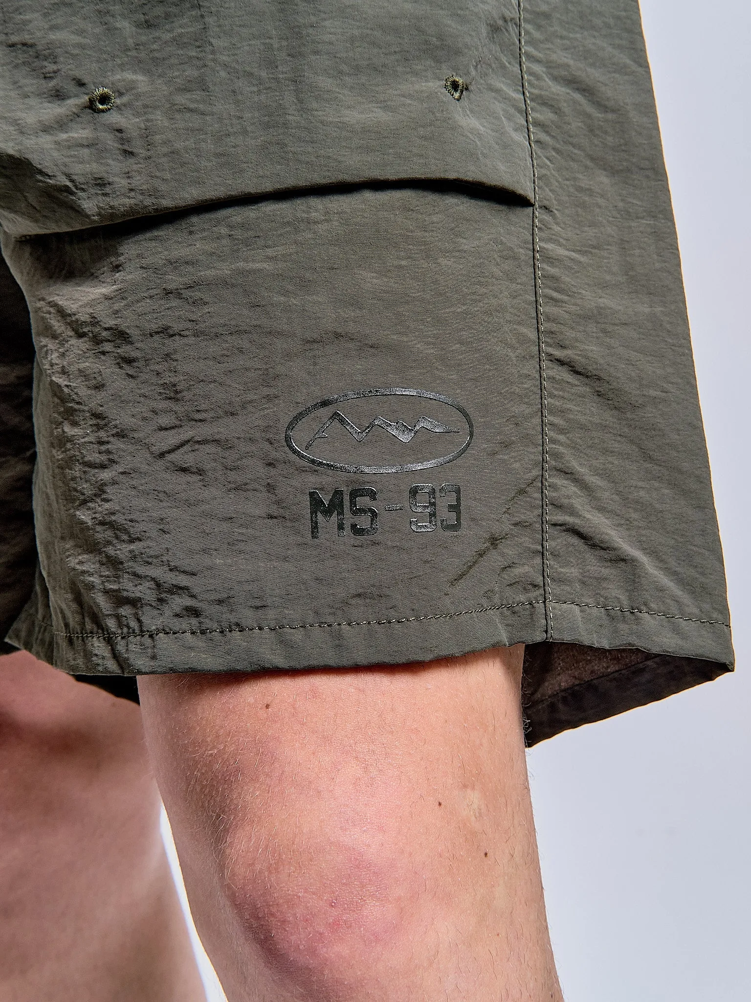 Park Shorts in Olive