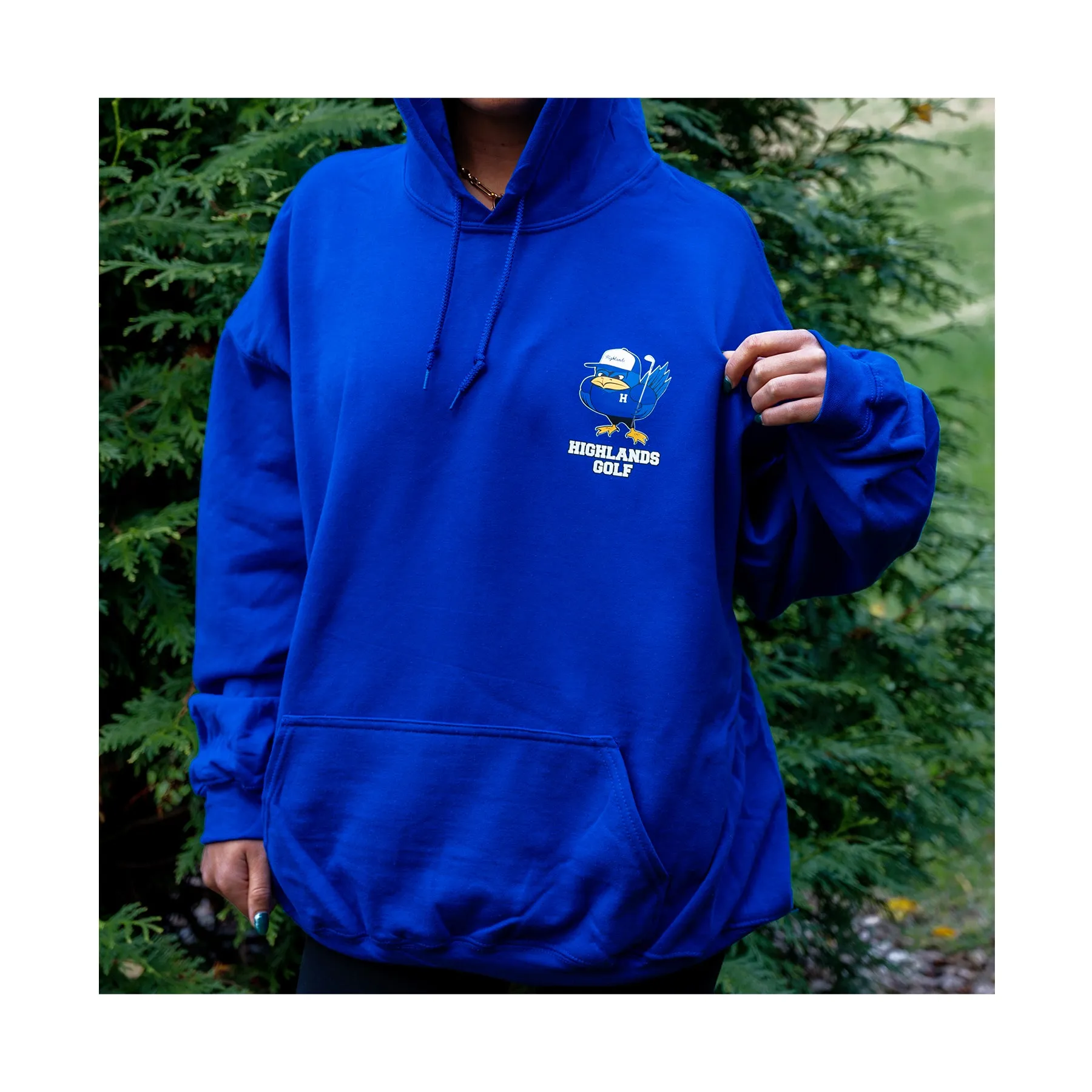 Sports Bluebird Hoodies